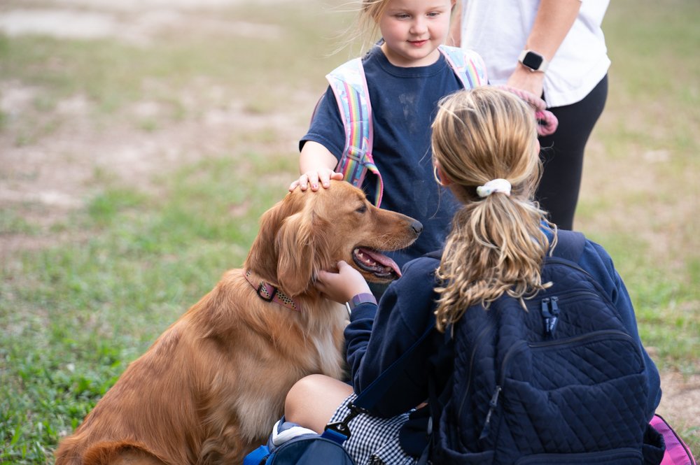Blessing of the Pets